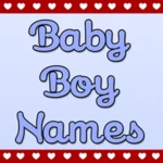 Logo of Baby Boy Names android Application 